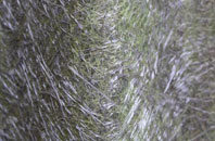 Boltongate fibreglass roof work